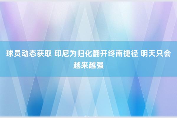 球员动态获取 印尼为归化翻开终南捷径 明天只会越来越强