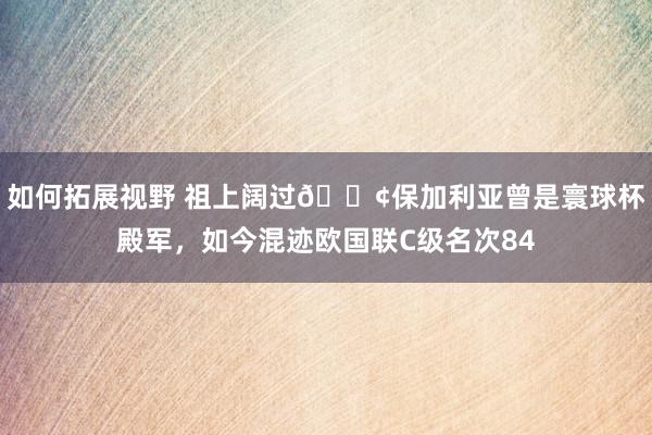 如何拓展视野 祖上阔过😢保加利亚曾是寰球杯殿军，如今混迹欧国联C级名次84